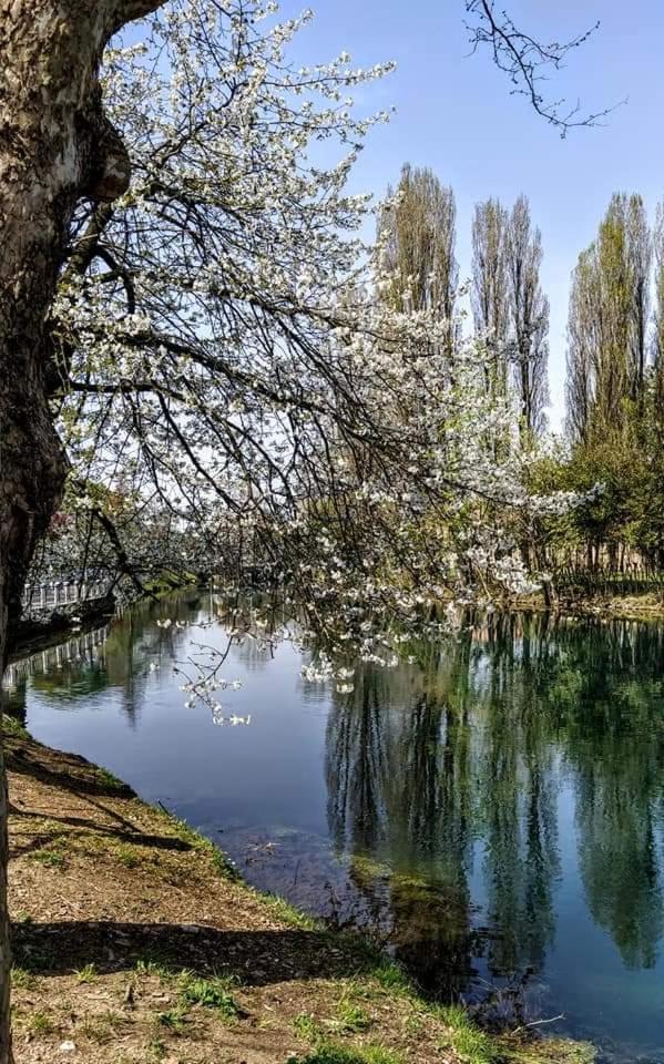 Zara Apartment Treviso Oda fotoğraf